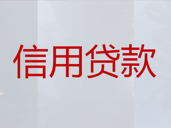 珠海贷款公司-银行信用贷款